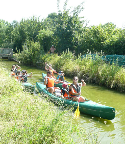 Promenades en canoë