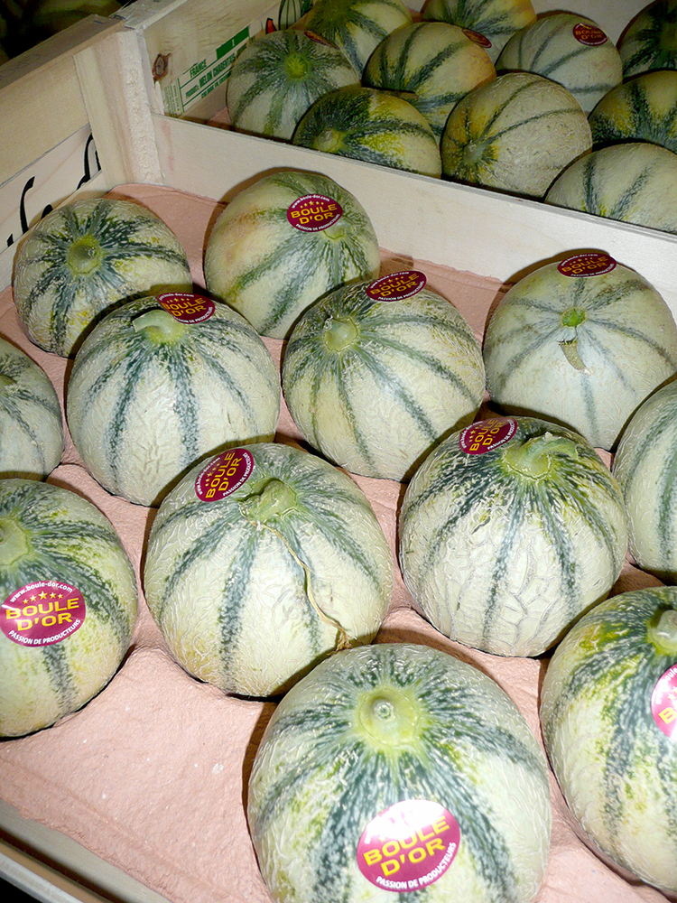 melons marais poitevin