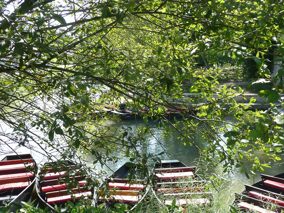 boat green venice marsh