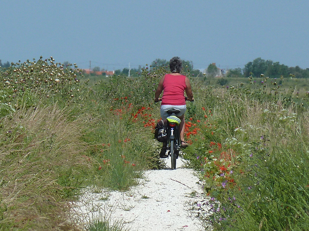 vélo en Vendée