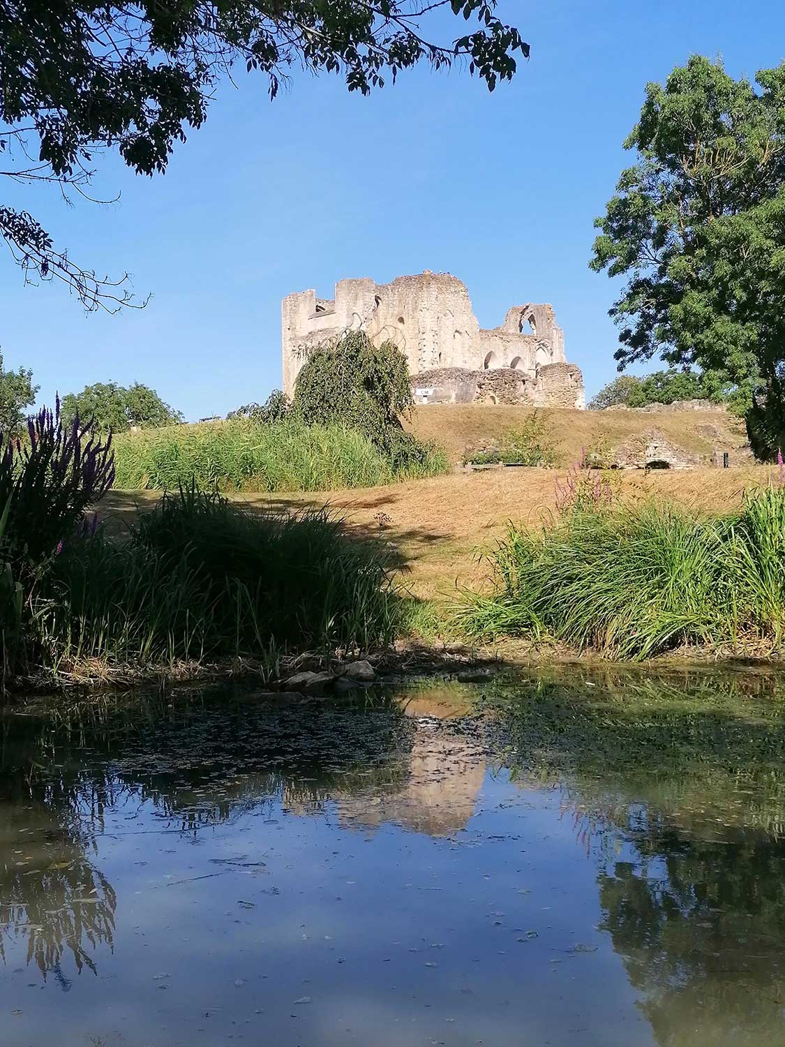 camping au coeur de la venise verte en Vendée