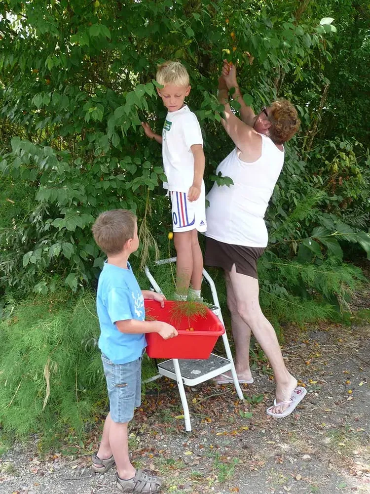famille qui ramasse des prunes aux camping de l'ile cariot