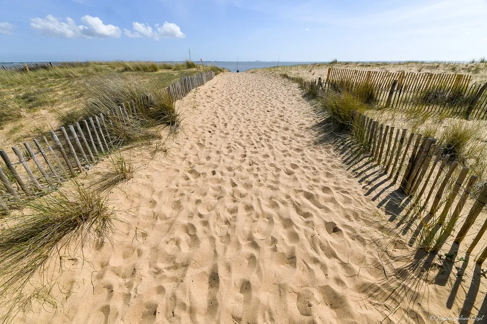 Sentiers sablonneux et végétation de la plage 