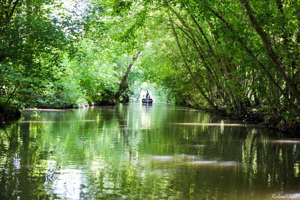 Personnes en canoë naviguant sur un canal bordé d’arbres dans le marais poitevin