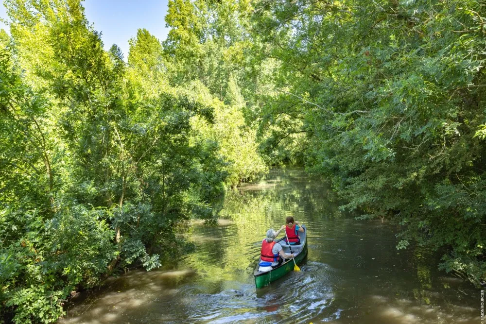 Personnes en canoë naviguant sur un canal bordé d’arbres dans le marais proche de l'ile cariot