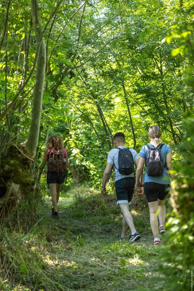 Groupe de randonneurs marchant sur un sentier forestier près de Niort
