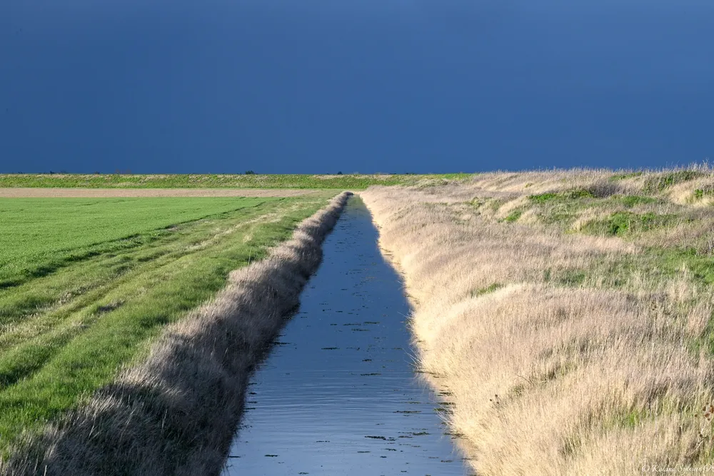 Canal rectiligne traversant un paysage de marais