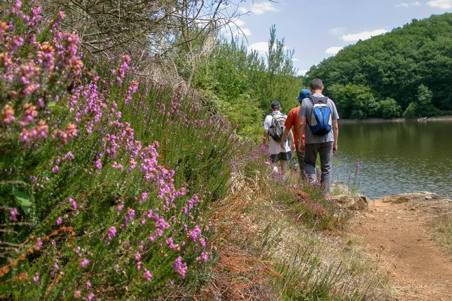 randonneurs foret de Mervent